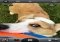 Camera Awesome Android image 1 thumbnail