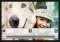 Camera MX 2.1.9