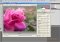 Camera Raw image 1 thumbnail