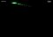 Cat Alone Android image 2 thumbnail