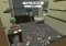Catlateral Damage image 4 thumbnail