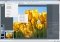 Chasys Draw IES image 2 thumbnail