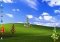 Christmas Tree Collection image 1 thumbnail