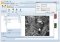 Chrysanth Diary image 2 thumbnail
