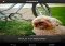 Cinemagram Android image 1 thumbnail