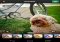 Cinemagram Android image 3 thumbnail