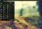 Cinnamon Linux image 1 thumbnail