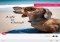 Citations Android image 5 thumbnail