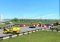 City Car Driving image 8 thumbnail