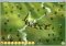 Civilizations Wars image 2 thumbnail