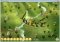 Civilizations Wars image 3 thumbnail
