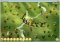 Civilizations Wars image 4 thumbnail