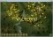 Civilizations Wars image 5 thumbnail
