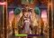 Cleopatra Casino Android image 2 thumbnail