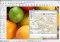 CodedColor PhotoStudio image 2 thumbnail
