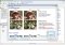 CodedColor PhotoStudio image 4 thumbnail