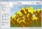 Color By Number image 4 thumbnail