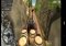 Truck Driver 3D: Offroad Android image 2 thumbnail