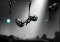 Contre Jour Android image 2 thumbnail