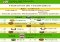 World Cup 2014 Brazil Android image 6 thumbnail