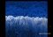 Corel Snapfire Plus image 6 thumbnail