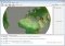 Cosmos Globalbase Viewer image 3 thumbnail