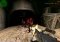 Counter Strike 1.6 Z-Bot image 1 thumbnail