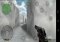 Counter Strike Portable Android image 3 thumbnail