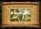 Cradle of Rome 2 image 4 thumbnail