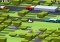 Crossy Road Android image 3 thumbnail