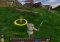 Crowns of Power image 1 thumbnail
