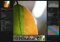 darktable Linux image 3 thumbnail