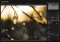 darktable Linux image 5 thumbnail