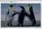 Decompose Mac image 2 thumbnail