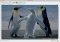 Decompose Mac image 3 thumbnail
