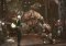 Defiance image 2 thumbnail