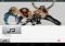 360 Music Player Android image 4 thumbnail