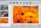 DesignBox image 5 thumbnail