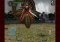Devil May Cry 4 Refrain iPhone image 5 thumbnail