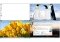 Dexpot image 1 thumbnail