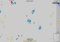 diep.io Android image 5 thumbnail