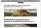 Digg iPhone image 1 thumbnail