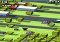 Disney Crossy Road Android image 4 thumbnail
