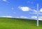 Ditto image 2 thumbnail