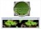 Easy WiFi Radar image 1 thumbnail