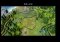 Eden: The Game Android image 3 thumbnail