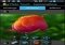 Photo Montage Android image 7 thumbnail