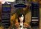 The Lord of the Rings Online image 6 thumbnail