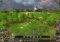 Elven Legacy image 3 thumbnail