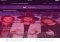 Eurovision Song Contest iPhone image 2 thumbnail